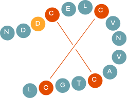 Graphic of uroguanylin chemical structure